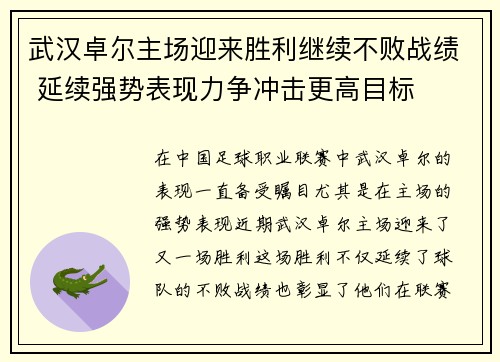武汉卓尔主场迎来胜利继续不败战绩 延续强势表现力争冲击更高目标