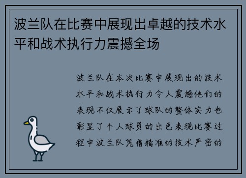 波兰队在比赛中展现出卓越的技术水平和战术执行力震撼全场