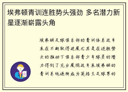 埃弗顿青训连胜势头强劲 多名潜力新星逐渐崭露头角