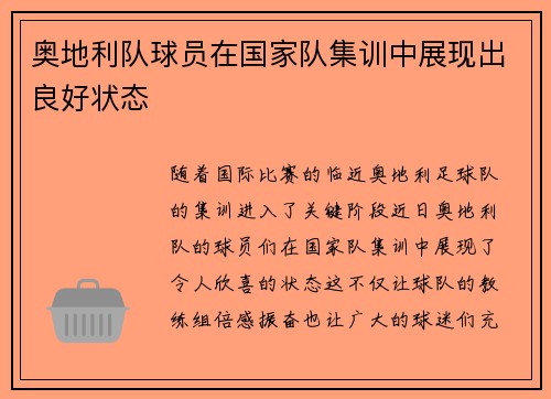 奥地利队球员在国家队集训中展现出良好状态