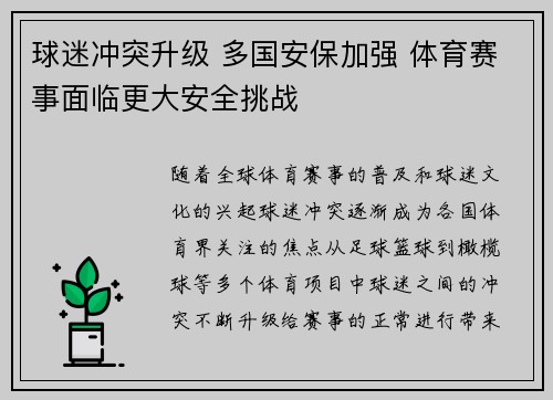 球迷冲突升级 多国安保加强 体育赛事面临更大安全挑战